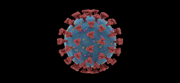 Fip felina e coronavirus nel gatto Fip felina e coronavirus nel gatto